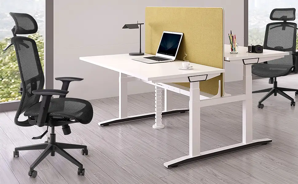 FURMAX ERGONOMIC OFFICE CHAIR FURMAX 202T4 V/S FURMAX 20000 COMPARISON